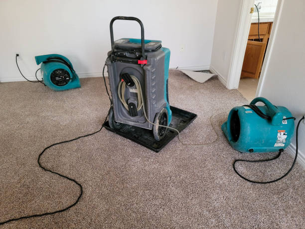 Carpet water damage restoration in Richlands, NC