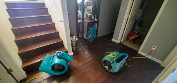 Best Water damage restoration specialists  in Richlands, NC
