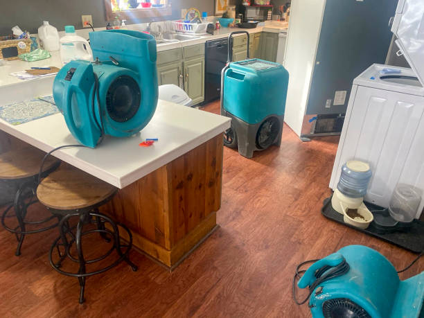Best Water damage restoration near me  in Richlands, NC