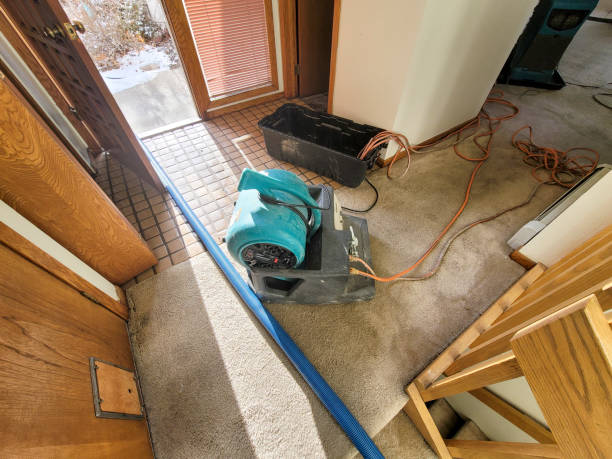 Best Flood restoration services  in Richlands, NC