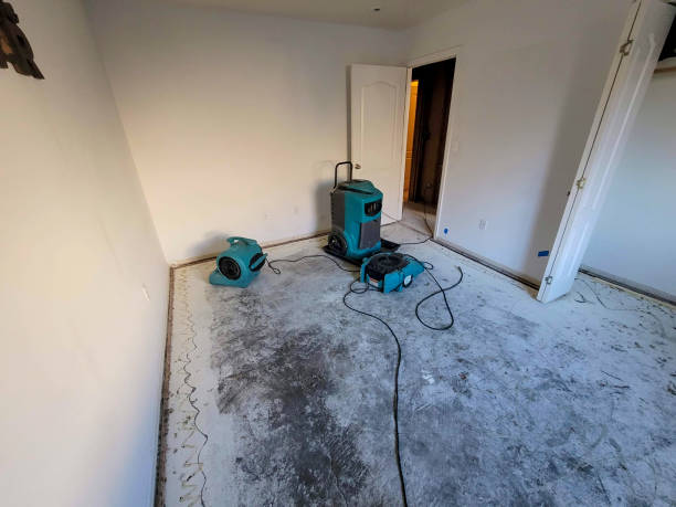 Best 24-hour water damage restoration  in Richlands, NC