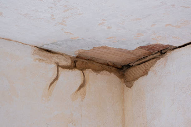 Best Water damage restoration near me  in Richlands, NC