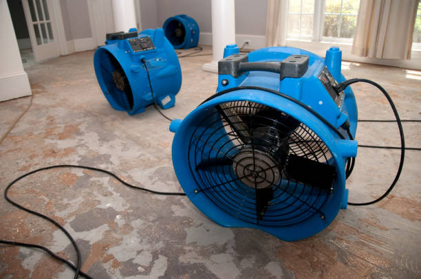 Best 24-hour water damage restoration  in Richlands, NC