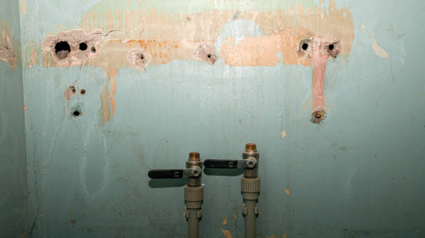 Best Carpet water damage restoration  in Richlands, NC