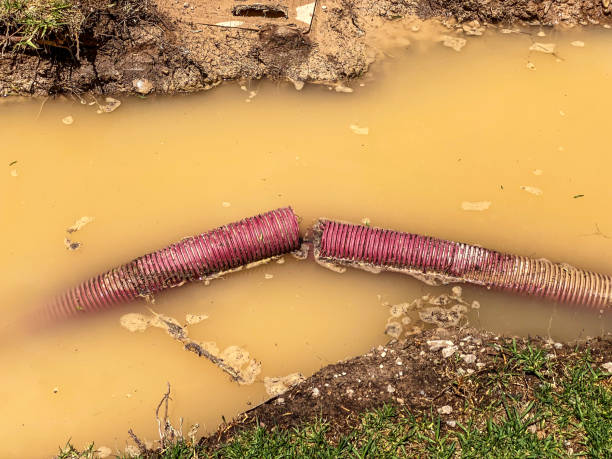 Best Local water damage restoration  in Richlands, NC